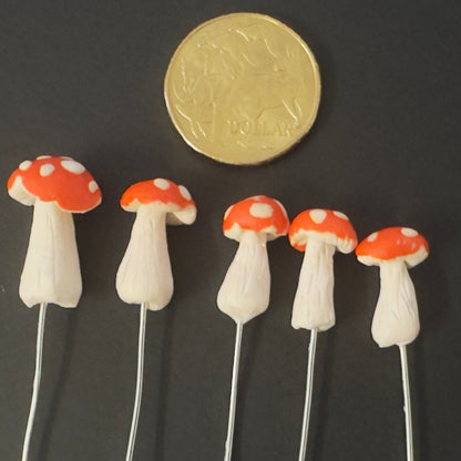 Terrarium Mushroom