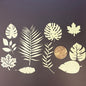 Scrapbooking Plants and Leaves