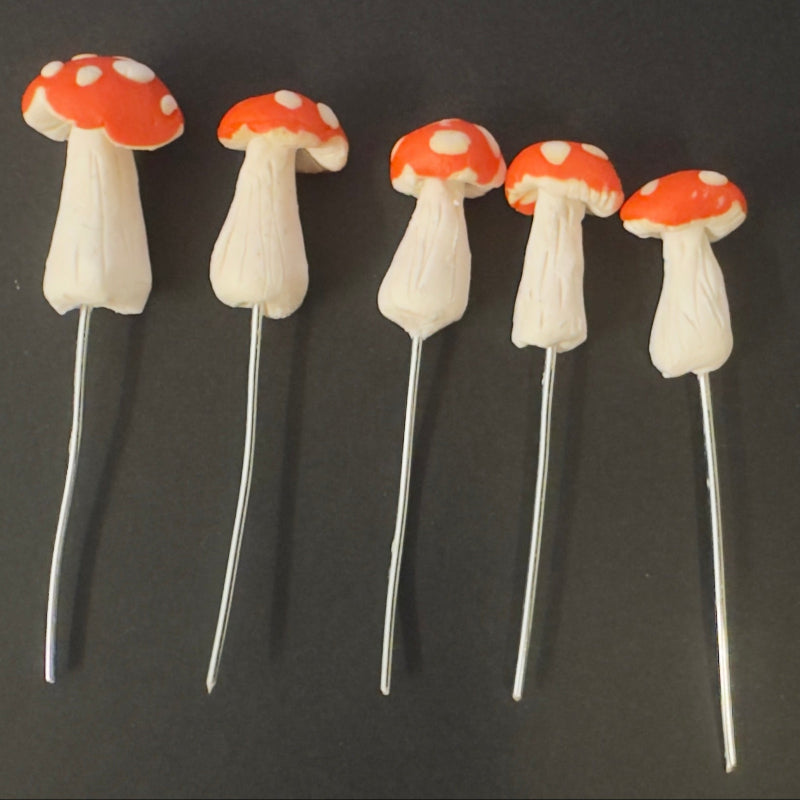 Terrarium Mushroom