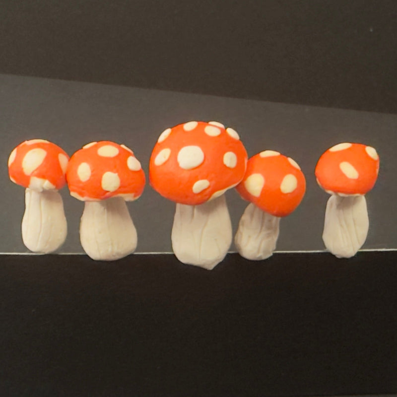 Terrarium Mushroom